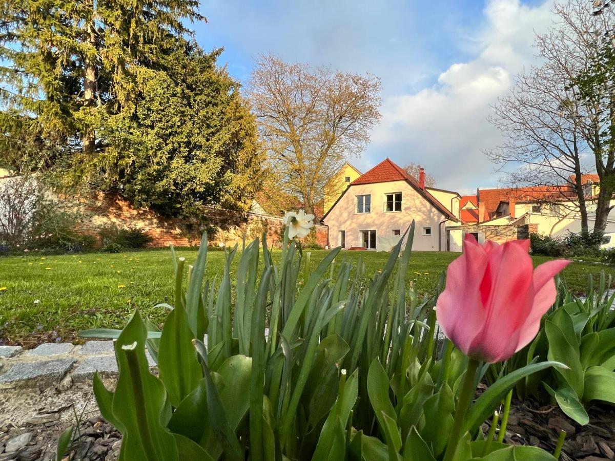 Apartamento Om Yoga Center Slovenska Bistrica Exterior foto